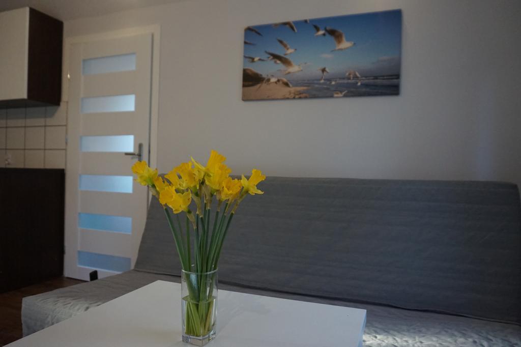 Apartamenty I Domki Osinscy Braniewo Εξωτερικό φωτογραφία